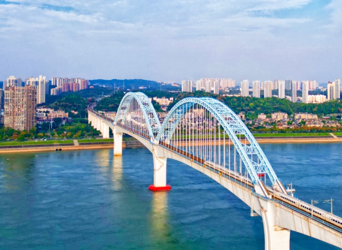 向光而行，花開滿途